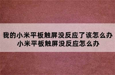 我的小米平板触屏没反应了该怎么办 小米平板触屏没反应怎么办